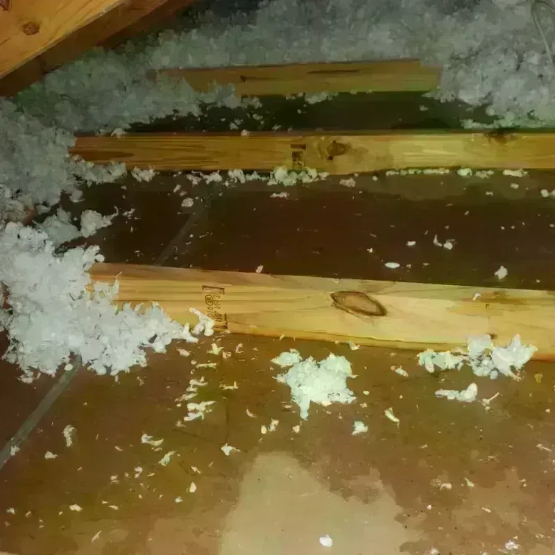 Attic Water Damage in Delhi Hills, OH